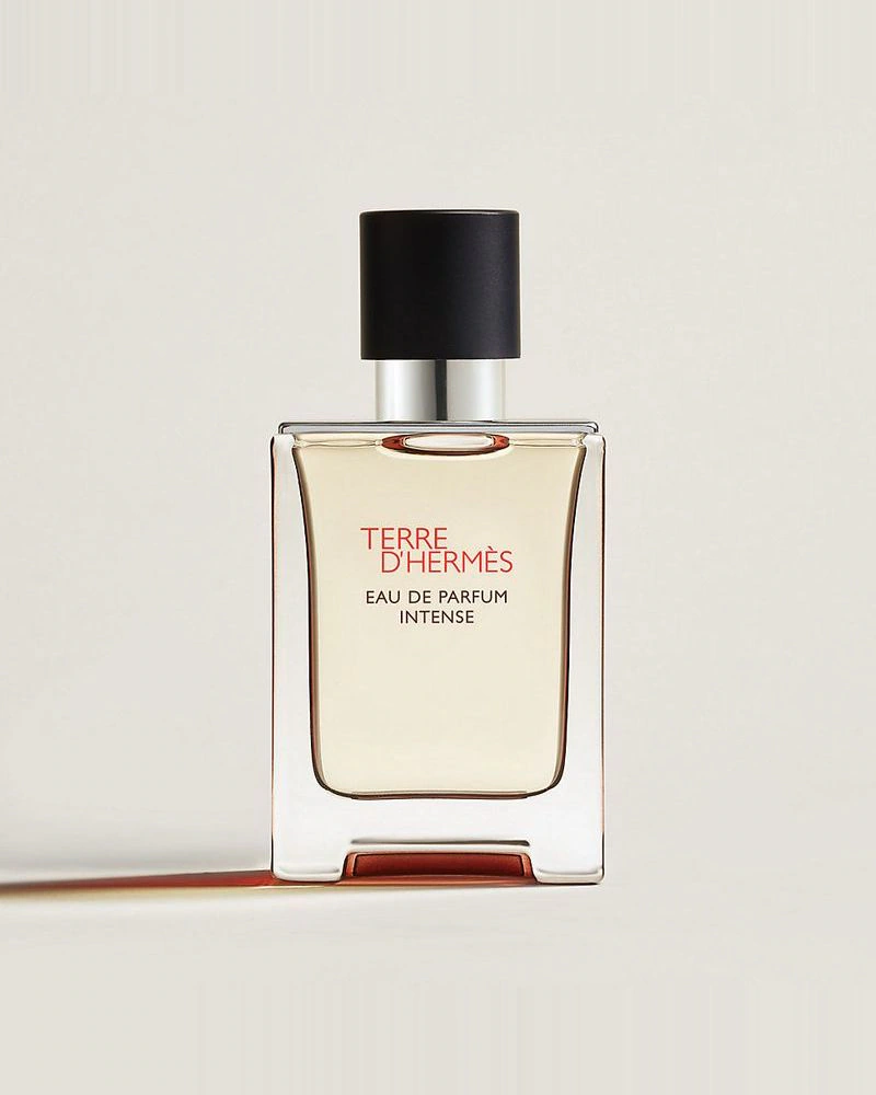 Terre d'Hermès 大地馥郁 香水照片